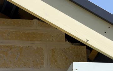 soffit repair East Woodburn